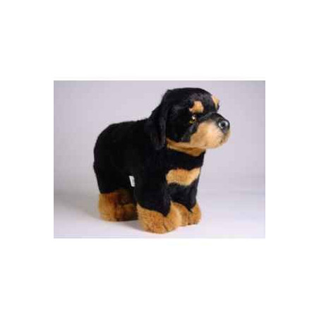 Animaux-Bois-Animaux-Bronzes propose Chien Rottweiller 35 cm peluche animaux debout réaliste Piutre 3308