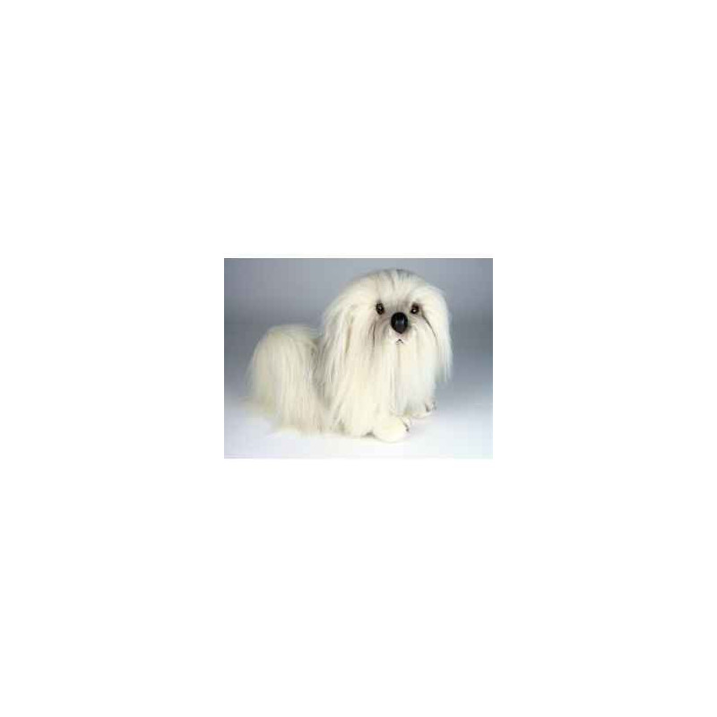 Animaux-Bois-Animaux-Bronzes propose Chien Bichon havanais 45 cm peluche animaux allongés réaliste Piutre 1288