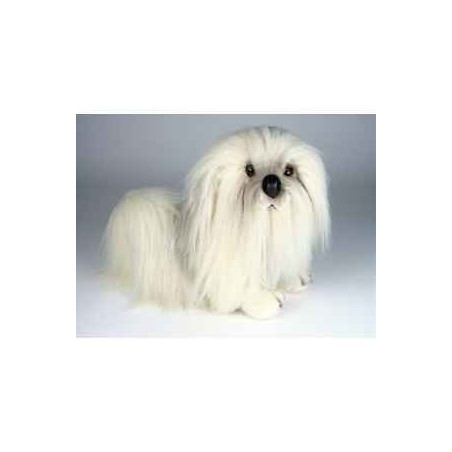 Animaux-Bois-Animaux-Bronzes propose Chien Bichon havanais 45 cm peluche animaux allongés réaliste Piutre 1288