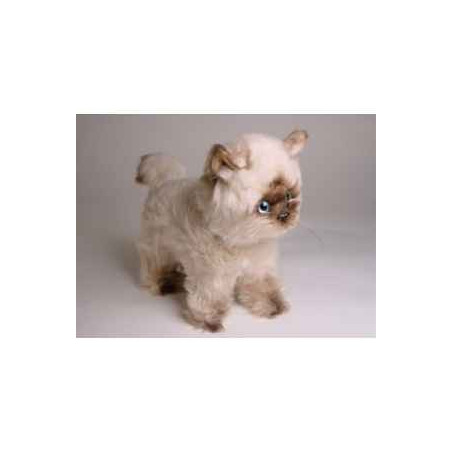  Animaux marins Phoque d'himalaya 30 cm peluche animaux debout réaliste Piutre 2368