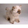 Peluche debout phoque d'himalaya 30 cm Piutre   2368