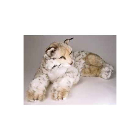 Peluche allongée lynx 70 cm Piutre   2553