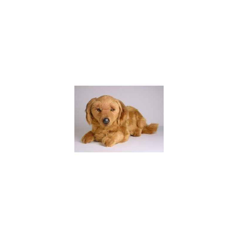 Animaux-Bois-Animaux-Bronzes propose Chien Teckel dachshund, poils longs 35 cm peluche animaux allongés réaliste Piutre 2255