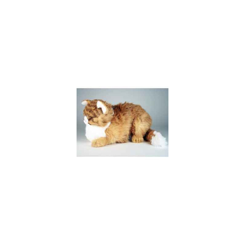 Animaux-Bois-Animaux-Bronzes propose Chat maine coon qui dort 40 cm  réaliste Piutre