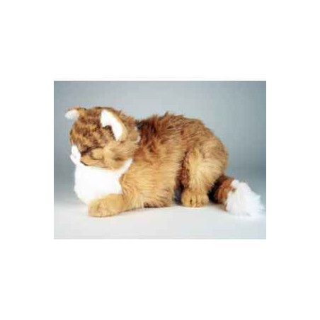 Animaux-Bois-Animaux-Bronzes propose Chat maine coon qui dort 40 cm  réaliste Piutre