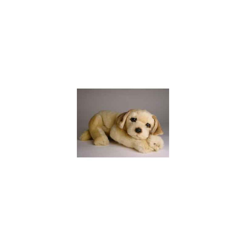 Animaux-Bois-Animaux-Bronzes propose Chien Golden retriever 30 cm peluche animaux allongés réaliste Piutre 2209