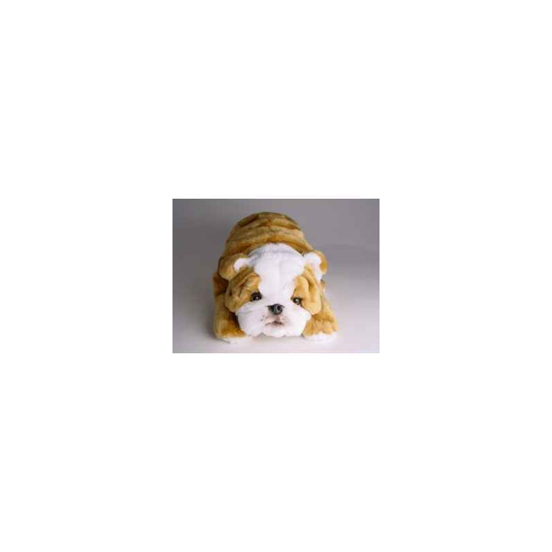 Animaux-Bois-Animaux-Bronzes propose Chien Bull-dog 35 cm peluche animaux allongés réaliste Piutre 3288