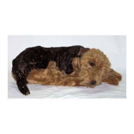 Animaux-Bois-Animaux-Bronzes propose Chien Airedale terrier 85 cm peluche animaux allongés réaliste Piutre 2230