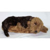 Animaux-Bois-Animaux-Bronzes propose Chien Airedale terrier 85 cm peluche animaux allongés réaliste Piutre 2230