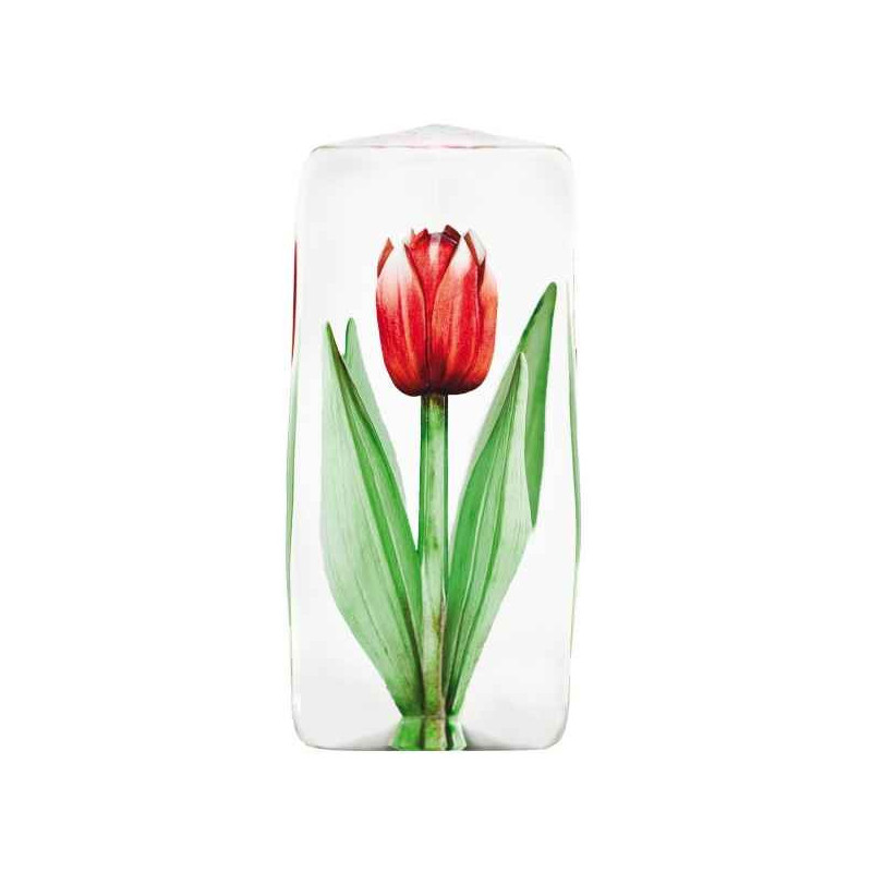 Objet de collection en verre Tulip , rouge Mats Jonasson -33874 dans animaux-bois-animaux-bronzes