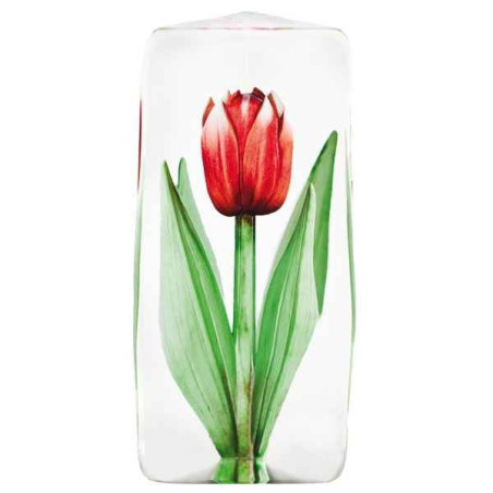 Objet de collection en verre Tulip , rouge Mats Jonasson -33874 dans animaux-bois-animaux-bronzes