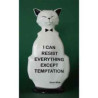 Animaux-Bois-Animaux-Bronzes.com propose Chat wild cat resist temptation wic04