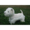 Chien Westie Anima   9018