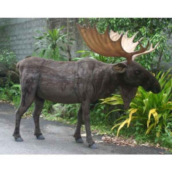 Animaux de la forêt Elan peluche animalière -5523