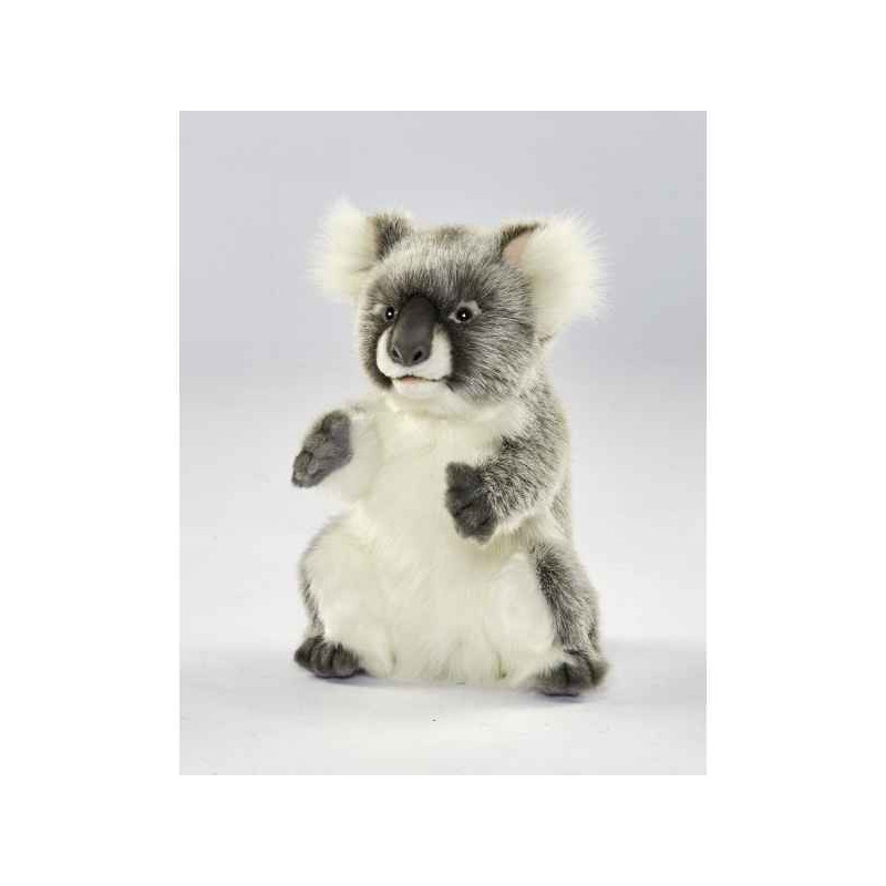 Animaux sauvage Koala peluche animalière -6298