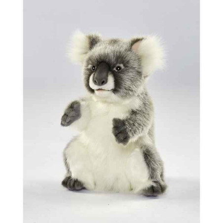 Animaux sauvage Koala peluche animalière -6298