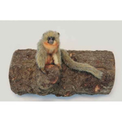 Animaux sauvage Singe titi peluche animalière -6230