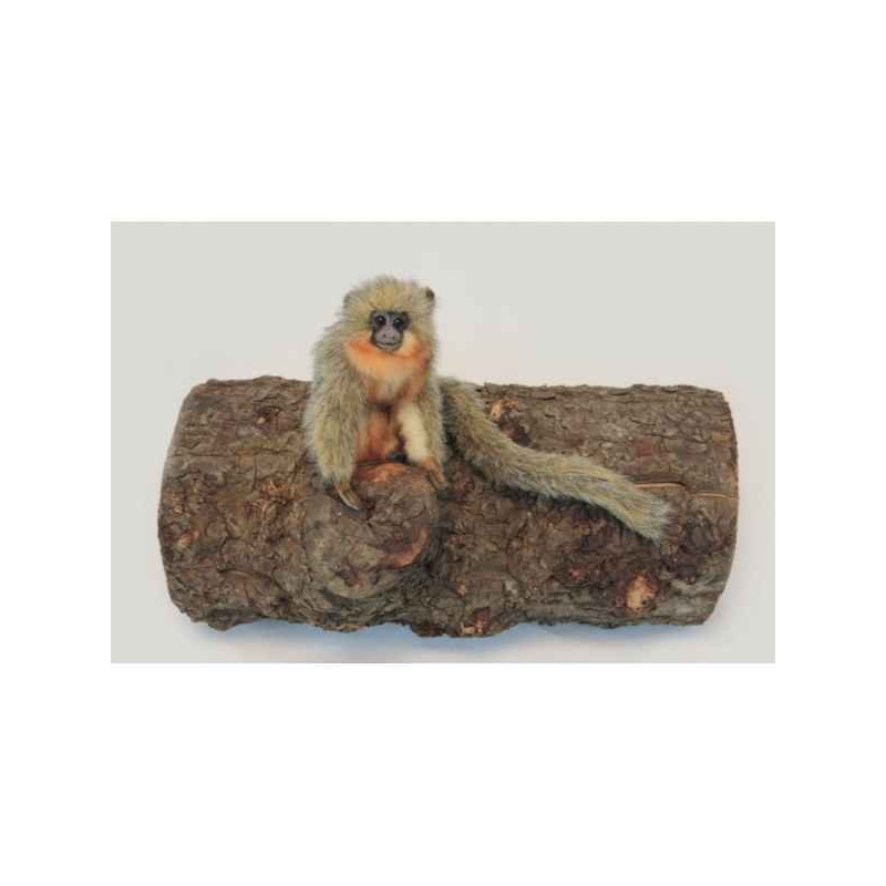 Animaux sauvage Singe titi peluche animalière -6230