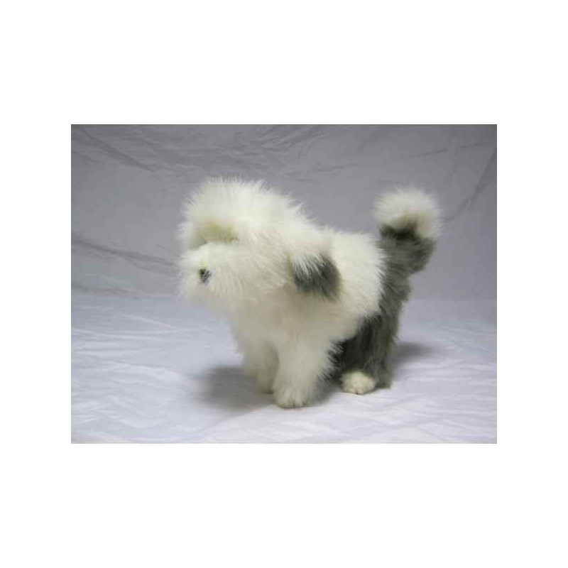 Chien Bobtail Anima   5377