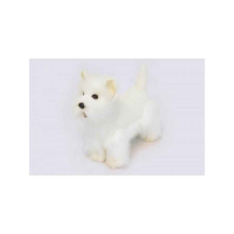 Animaux-Bois-Animaux-Bronzes propose Chien Westie peluche animalière -6307