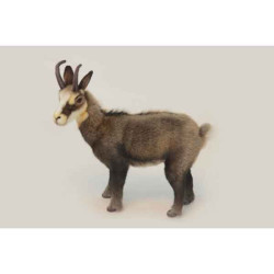 Animaux de la forêt Chamois peluche animalière -6318