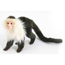 Animaux sauvage Singe capucin peluche animalière -5851