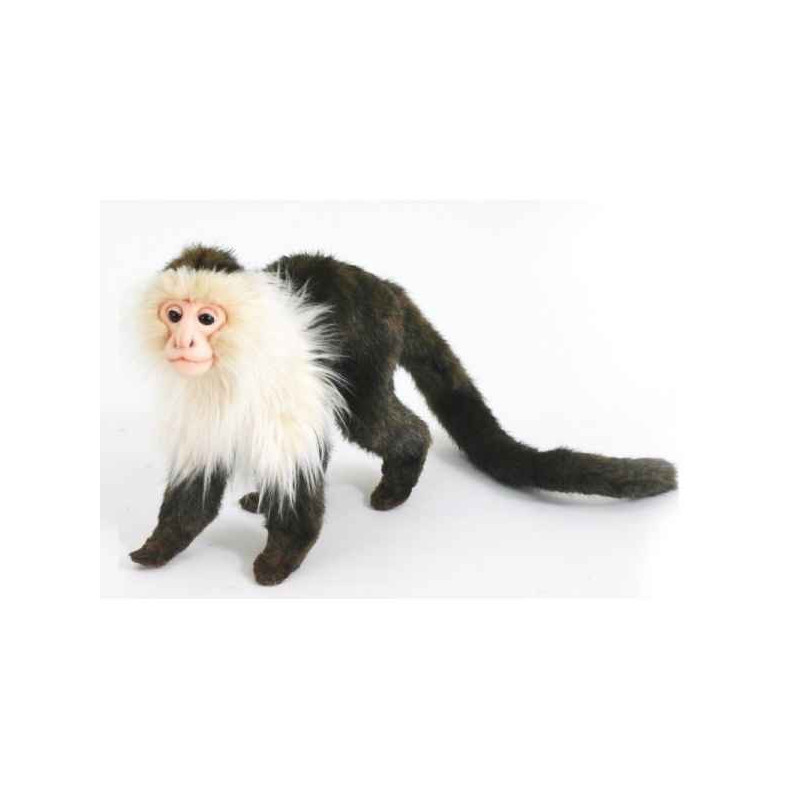 Animaux sauvage Singe capucin peluche animalière -5851