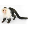 Animaux sauvage Singe capucin peluche animalière -5851