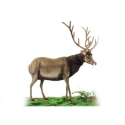 Animaux de la ferme Cerf peluche animalière -5979