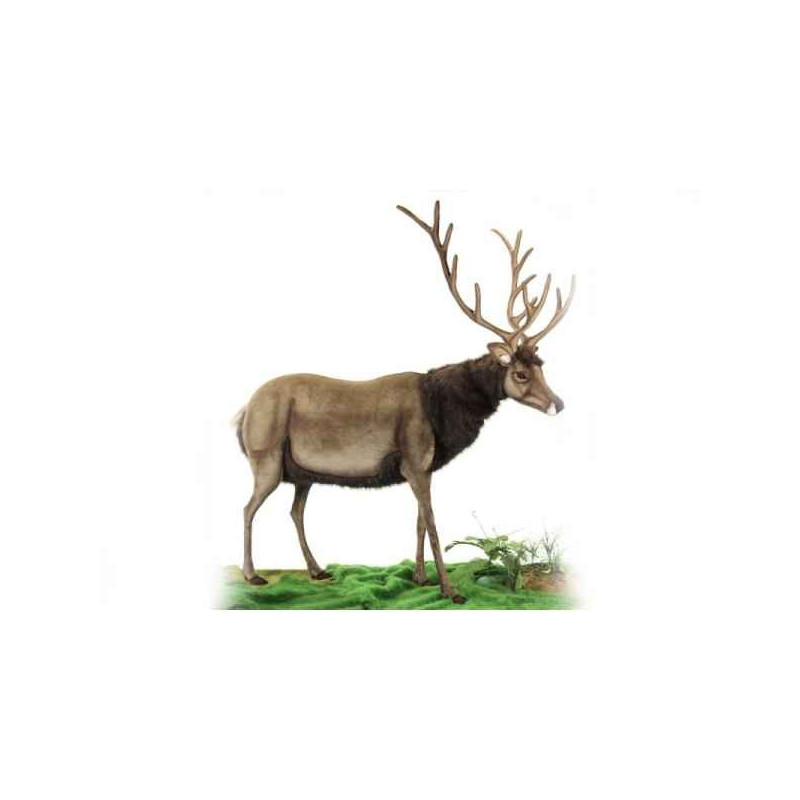 Animaux de la ferme Cerf peluche animalière -5979