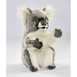 Animaux sauvage Koala peluche animalière -6297