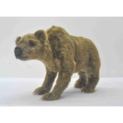 Animaux-Bois-Animaux-Bronzes propose Ours des cavernes peluche animalière -6108