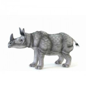 Rhinocéros indien Anima   5252
