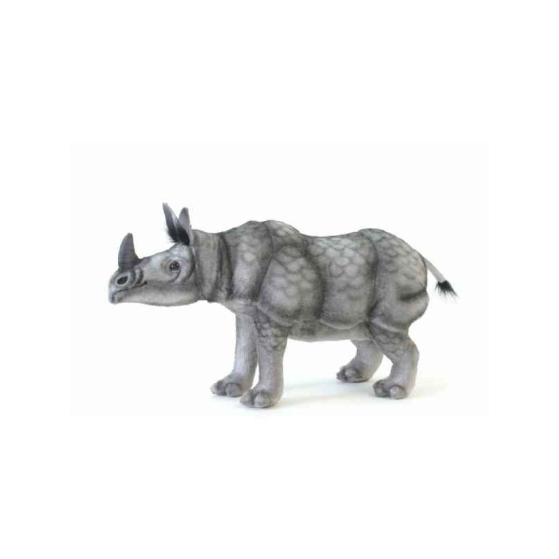Rhinocéros indien Anima   5252