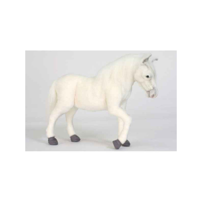 Cheval blanc Anima -5764