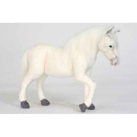 Cheval blanc Anima   5764