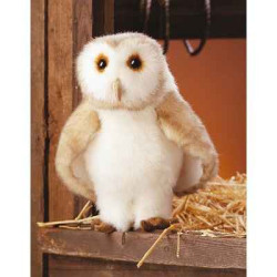 Animaux de la forêt Chouette-effraie 