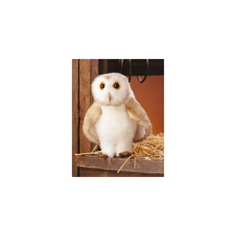 Animaux de la forêt Chouette-effraie 