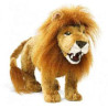 Marionnette peluche, petit lion -2805