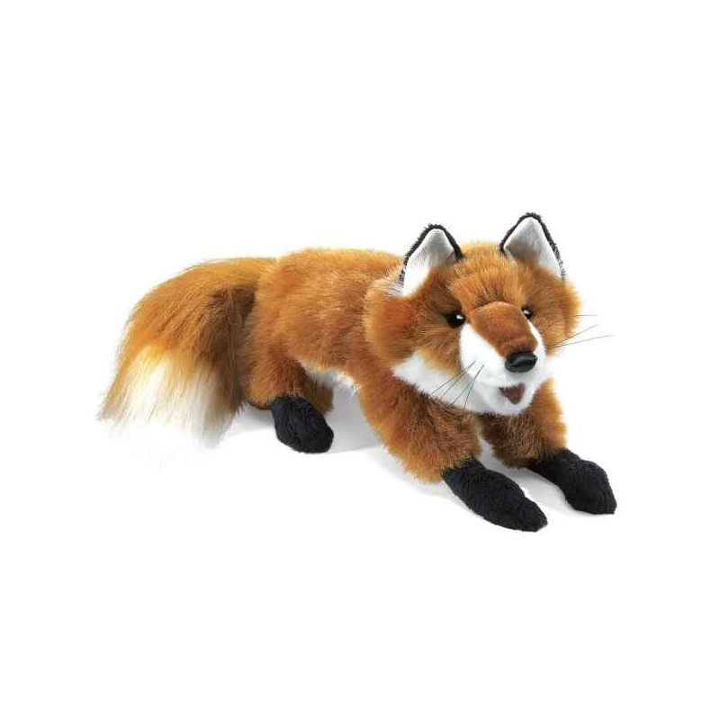 Animaux de la forêt Petit renard roux 