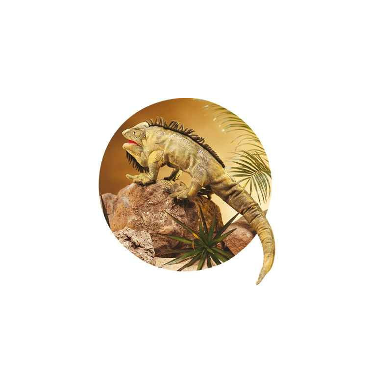 Animaux de la forêt Iguane 