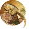 Animaux de la forêt Iguane 
