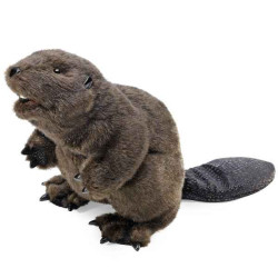 Animaux marins Castor marionnette 