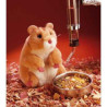 Animaux de la ferme Hamster marionnette 