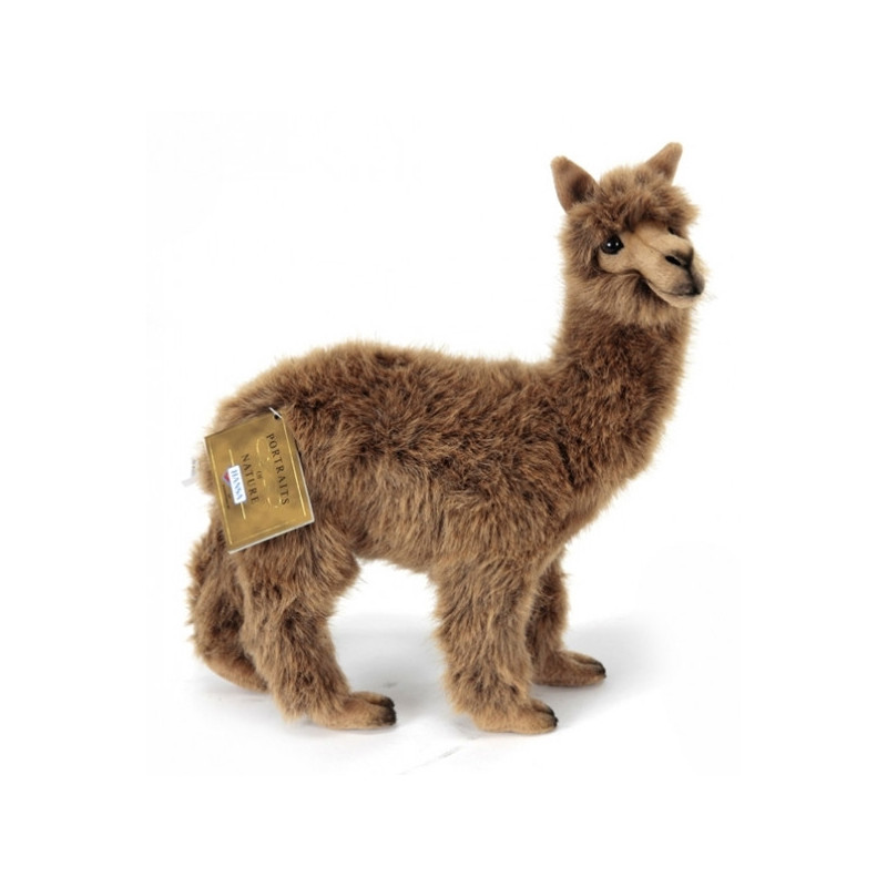 Animaux sauvage Lama brun 35cmh/30cml peluche animalière -6028