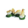 Figurine Poussin Schleich  -13648