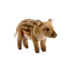 Animaux de la forêt Marcassin - Animaux 4853