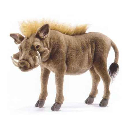 Animaux de la forêt Facochère - Animaux 5168