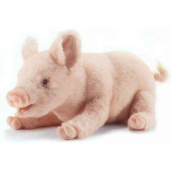 Animaux de la ferme Cochon couché - Animaux 4944