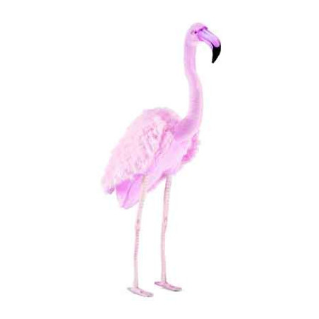 Animaux sauvage Flamant rose - Animaux 4777